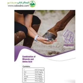 تصویر مکمل تقویتی سم اسب برند ویان VIAN مدل Horse hoof supplements وزن 2کیلوگرم 