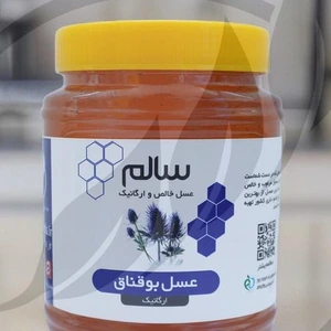 تصویر فروشگاه سالم فودز