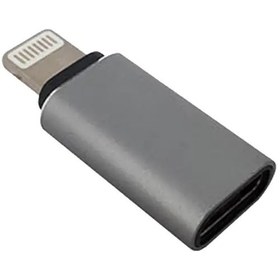 تصویر مبدل USB-C به لایتنینگ پی نت مدل T-110 P-net