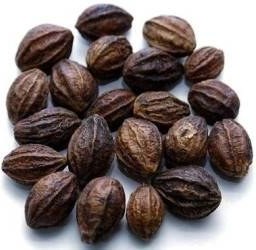 تصویر هلیله زرد 100گرمی 