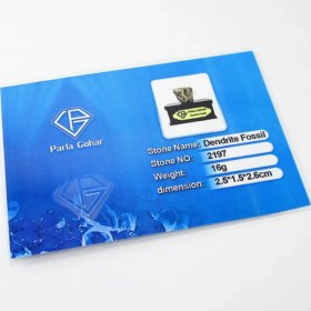 تصویر سنگ شجر فسیلی (دندریتی ) کد 2197 