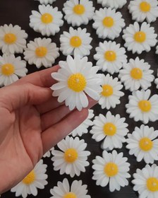 تصویر شمع بابونه 