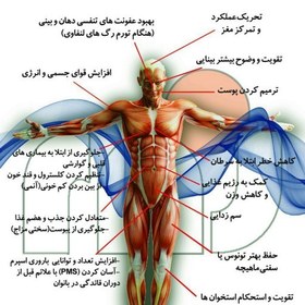 تصویر پودر جلبک اسپیرولینا درجه یک 