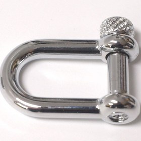 تصویر شگل کوچک نقره ای 