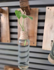 تصویر گلدان آویز چوبی شیشه ای 