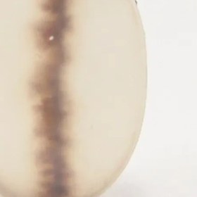 تصویر سنگ شجر کد3036 