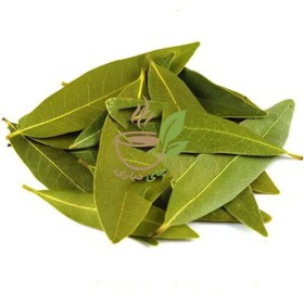 تصویر برگ بو - 25 گرم Bay laurel