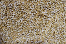 تصویر لپه دان ریز - 10 کیلوگرم 