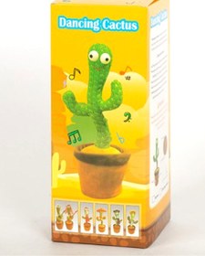 تصویر کاکتوس شارژی کاکتوس موزیکال
