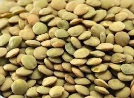 تصویر عدس درشت کیلویی=160هزار تومان 