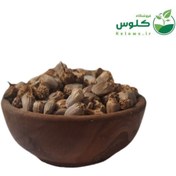 تصویر بذر کنگر خوراکی 5 کیلویی 