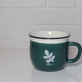 تصویر ماگ رجینال 