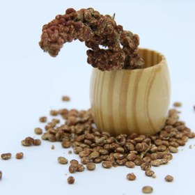 تصویر سماق قهوه ای 250 گرمی 