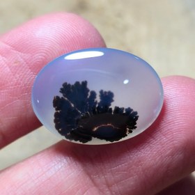 تصویر شجر مصور قائن 