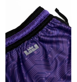 تصویر LeBron x Space Jam Goon Squad short | Alpide Store 