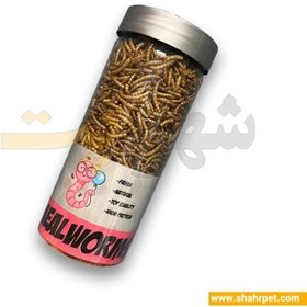 تصویر میل ورم شهرپت پریمیوم Shahrpet Premium Mealworm