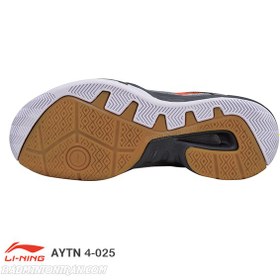 تصویر کفش بدمینتون لی نینگ Li-Ning AYTN025-4 