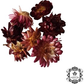 تصویر گل خشک مینا وارداتی 