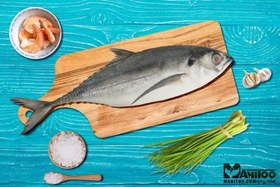 تصویر ماهی کاتو 