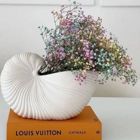 تصویر گلدان صدف 