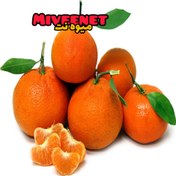 تصویر نارنگی پیج لوکس ۱۰۰۰+ گرمی بسته بندی تازه نگهدار میوه نت ا Excellent Patch Tangerine +1000Gr fresh packing miveenet Excellent Patch Tangerine +1000Gr fresh packing miveenet