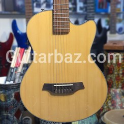 تصویر گیتار الکترو کلاسیک استگ انجل لوپز طرح گودین Angel Lopez Guitar 