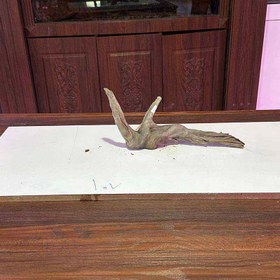 تصویر چوب آبنوس آکواریوم wf-1۰۷ 