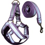 تصویر قلاده کتفی شبرنگ دار بزرگ برای سگ و گربه 