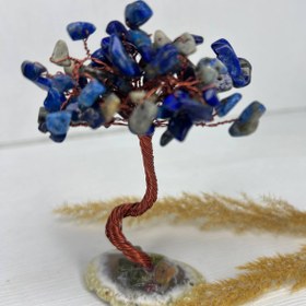 تصویر درختچه سنگ لاجورد 314 