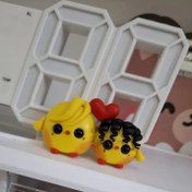 تصویر رو داشبوردی جوجه دوقلو 