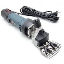 تصویر پشم زن حیوانات باس 