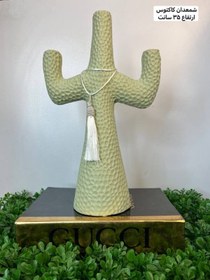 تصویر شمعدان-کاکتوس 