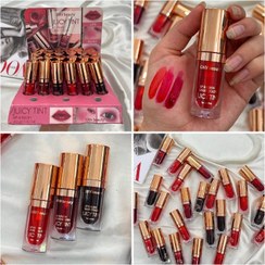 تصویر تينت لب اپلیکاتور بزرگ GNV beauty بسته24 تایی 