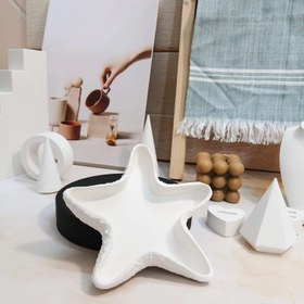 تصویر سنگ مصنوعی - ستاره دریایی 