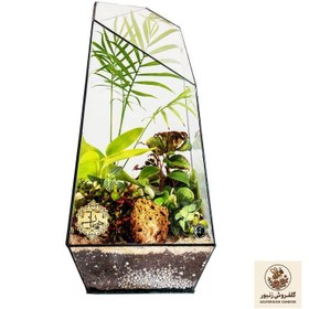 تصویر تراریوم هیمان مدل 5 ضلعی کد HV010 | کد: ZNB-563 