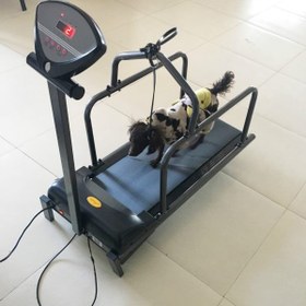 تصویر تردمیل سگ مدل مینی | Mini Treadmill Dog 