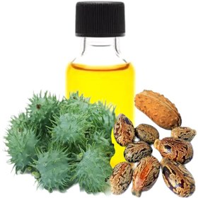 تصویر روغن کرچک 