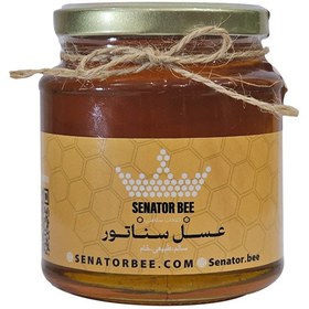 تصویر عسل گشنیز 400 گرم 