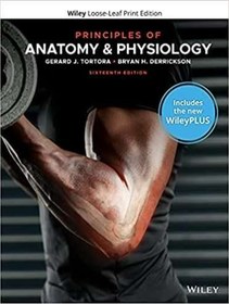 تصویر دانلود کتاب Principles of Anatomy and Physiology 16th Edition 