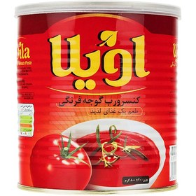 تصویر رب گوجه فرنگی اویلا 800 گرم کد E8 29085