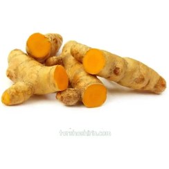 تصویر زردچوبه تازه 