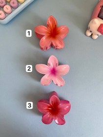 تصویر گلسر پلومریا 