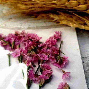 تصویر فروشگاه کافه رزین