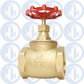 تصویر شیر سوزنی کیزایران شیر سوزنی کیزایران