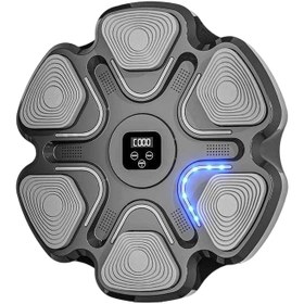 تصویر کیسه بوکس موزیکال ZL-9 