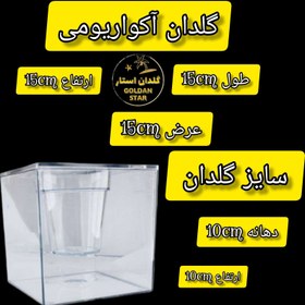 تصویر تنگ ماهی شب عید عمده ارزان - 180 عددی 