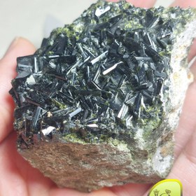 تصویر اپیدوت کلکسیونی 