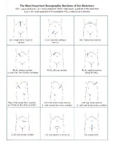 تصویر دانلود کتاب ULTRASOUND TEACHING MANUAL The Basics Of Performing And Interpreting Ultrasound Scan 1999 کتاب انگلیسی کتابچه راهنمای آموزش سونوگرافی مبانی انجام و تفسیر سونوگرافی 1999