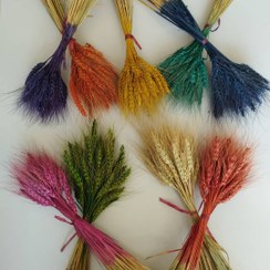 تصویر گندم رنگی و طبیعی رنگ طبیعی (3۰ شاخه ای)