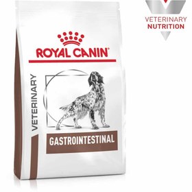 Gastro hotsell intestinal royal